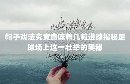 帽子戏法究竟意味着几粒进球揭秘足球场上这一壮举的奥秘