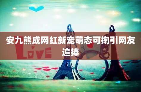 安九熊成网红新宠萌态可掬引网友追捧