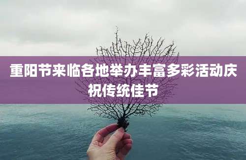 重阳节来临各地举办丰富多彩活动庆祝传统佳节