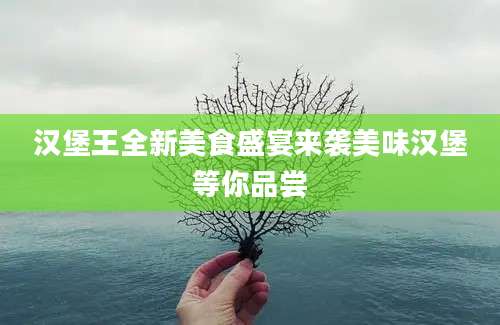 汉堡王全新美食盛宴来袭美味汉堡等你品尝