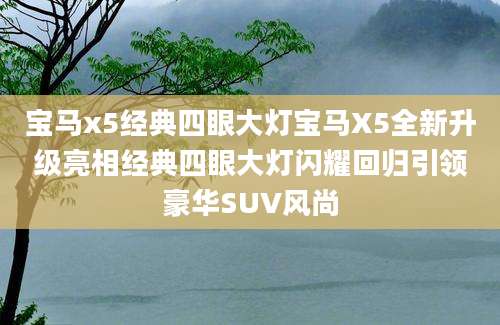 宝马x5经典四眼大灯宝马X5全新升级亮相经典四眼大灯闪耀回归引领豪华SUV风尚