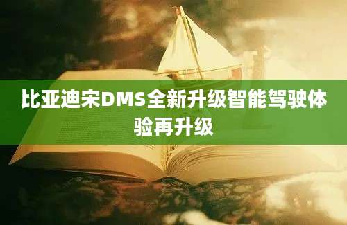 比亚迪宋DMS全新升级智能驾驶体验再升级