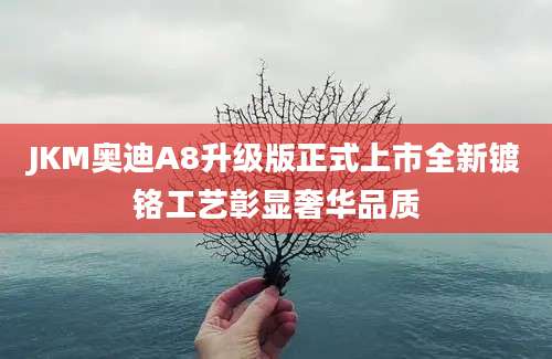 JKM奥迪A8升级版正式上市全新镀铬工艺彰显奢华品质