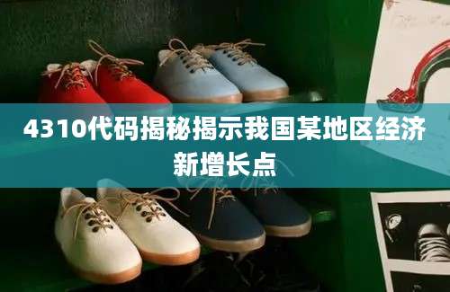 4310代码揭秘揭示我国某地区经济新增长点