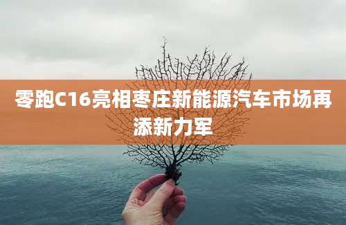 零跑C16亮相枣庄新能源汽车市场再添新力军