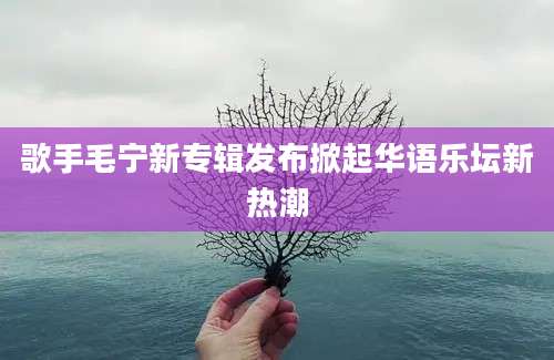 歌手毛宁新专辑发布掀起华语乐坛新热潮