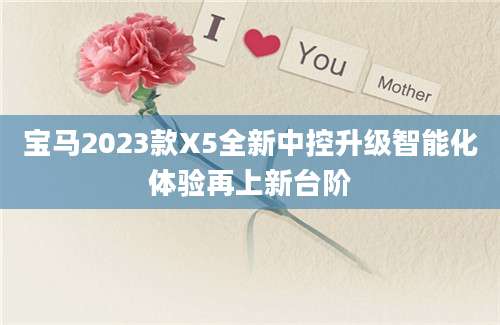 宝马2023款X5全新中控升级智能化体验再上新台阶