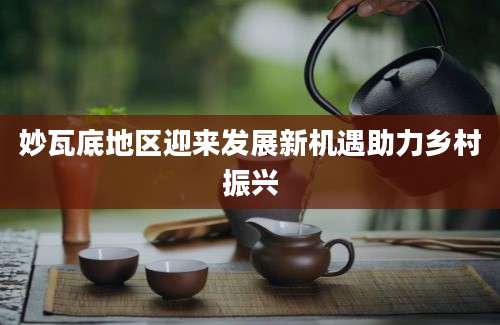 妙瓦底地区迎来发展新机遇助力乡村振兴