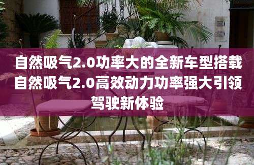 自然吸气2.0功率大的全新车型搭载自然吸气2.0高效动力功率强大引领驾驶新体验