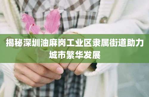 揭秘深圳油麻岗工业区隶属街道助力城市繁华发展