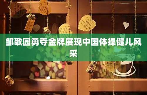 邹敬园勇夺金牌展现中国体操健儿风采