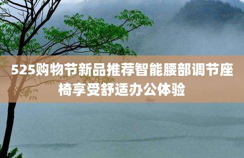 525购物节新品推荐智能腰部调节座椅享受舒适办公体验