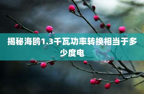 揭秘海鸥1.3千瓦功率转换相当于多少度电