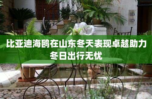 比亚迪海鸥在山东冬天表现卓越助力冬日出行无忧