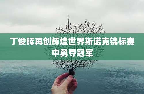 丁俊晖再创辉煌世界斯诺克锦标赛中勇夺冠军