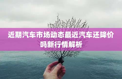 近期汽车市场动态最近汽车还降价吗新行情解析