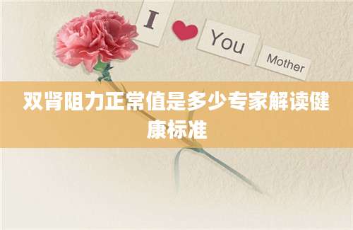 双肾阻力正常值是多少专家解读健康标准