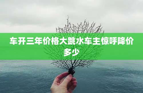 车开三年价格大跳水车主惊呼降价多少