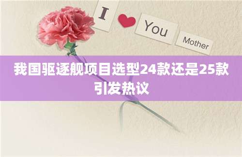 我国驱逐舰项目选型24款还是25款引发热议