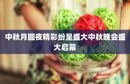 中秋月圆夜精彩纷呈盛大中秋晚会盛大启幕