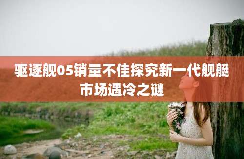 驱逐舰05销量不佳探究新一代舰艇市场遇冷之谜