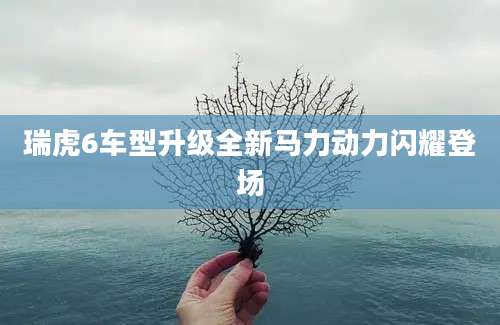 瑞虎6车型升级全新马力动力闪耀登场