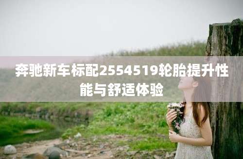 奔驰新车标配2554519轮胎提升性能与舒适体验