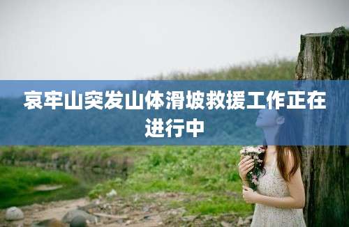 哀牢山突发山体滑坡救援工作正在进行中