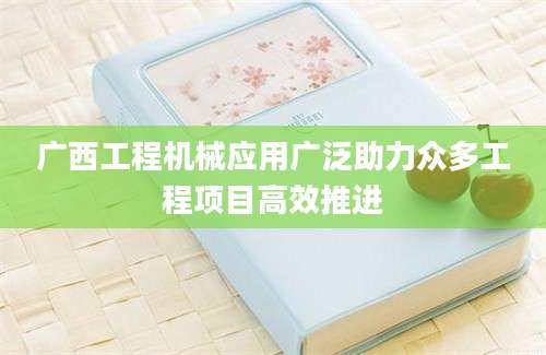 广西工程机械应用广泛助力众多工程项目高效推进