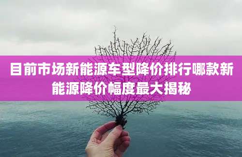 目前市场新能源车型降价排行哪款新能源降价幅度最大揭秘