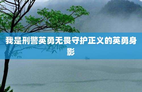 我是刑警英勇无畏守护正义的英勇身影