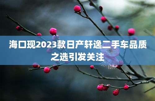 海口现2023款日产轩逸二手车品质之选引发关注