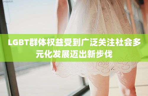 LGBT群体权益受到广泛关注社会多元化发展迈出新步伐