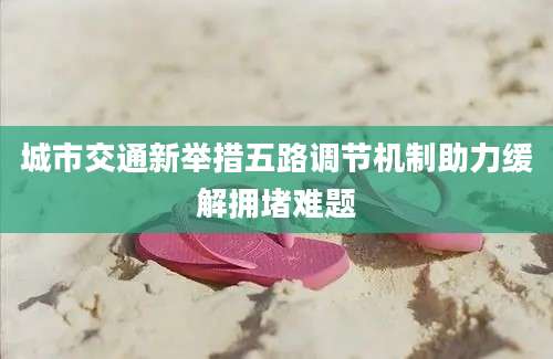 城市交通新举措五路调节机制助力缓解拥堵难题