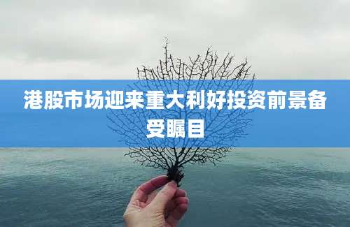 港股市场迎来重大利好投资前景备受瞩目