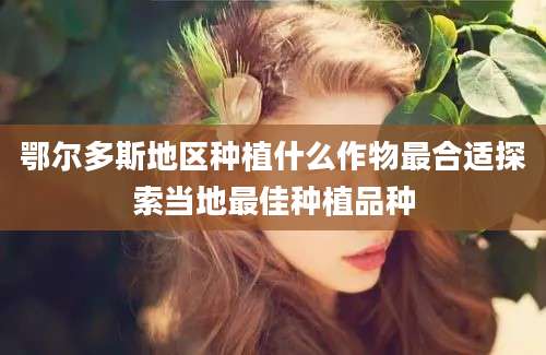 鄂尔多斯地区种植什么作物最合适探索当地最佳种植品种