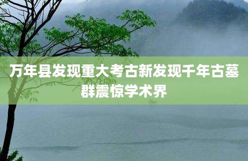 万年县发现重大考古新发现千年古墓群震惊学术界