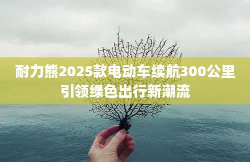 耐力熊2025款电动车续航300公里引领绿色出行新潮流