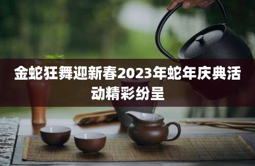金蛇狂舞迎新春2023年蛇年庆典活动精彩纷呈