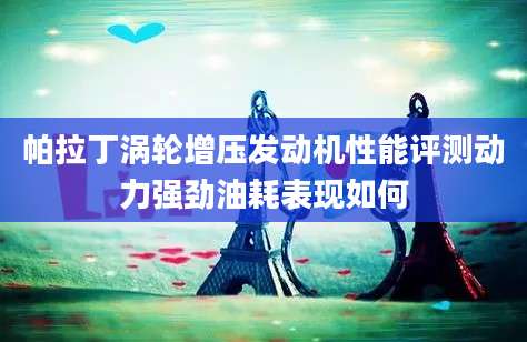 帕拉丁涡轮增压发动机性能评测动力强劲油耗表现如何
