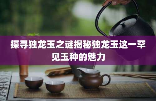 探寻独龙玉之谜揭秘独龙玉这一罕见玉种的魅力