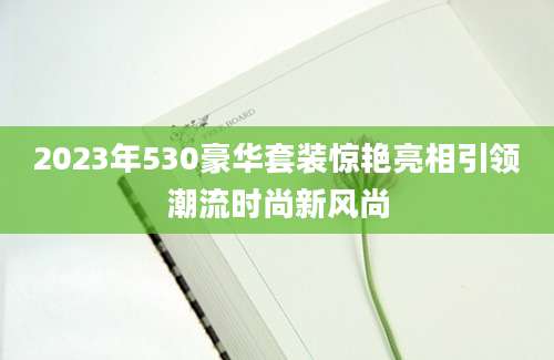 2023年530豪华套装惊艳亮相引领潮流时尚新风尚