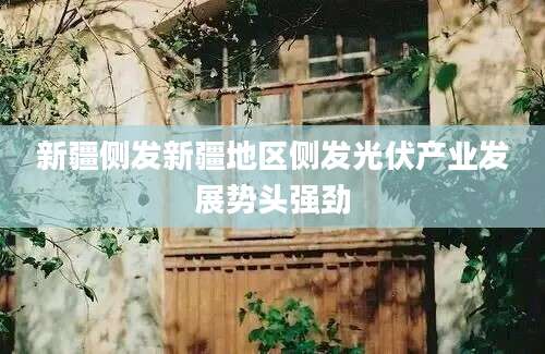 新疆侧发新疆地区侧发光伏产业发展势头强劲