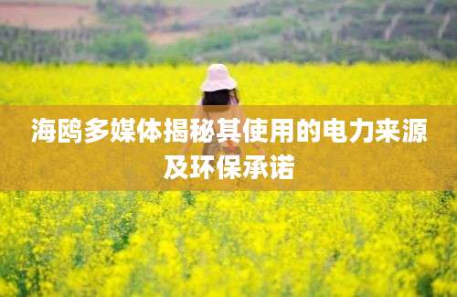 海鸥多媒体揭秘其使用的电力来源及环保承诺