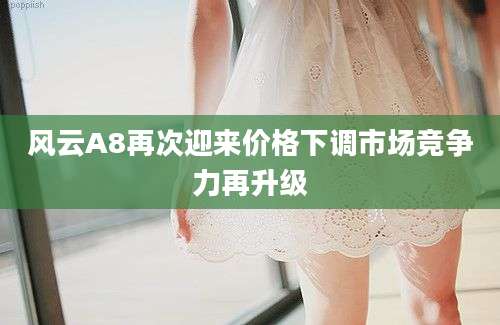 风云A8再次迎来价格下调市场竞争力再升级