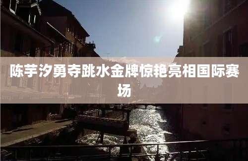 陈芋汐勇夺跳水金牌惊艳亮相国际赛场