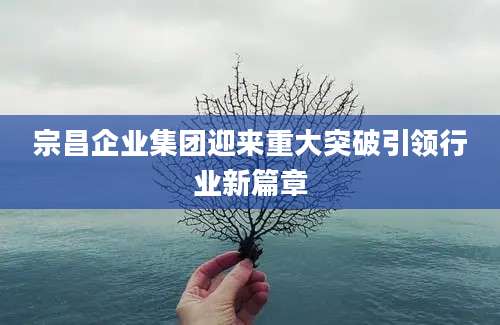 宗昌企业集团迎来重大突破引领行业新篇章