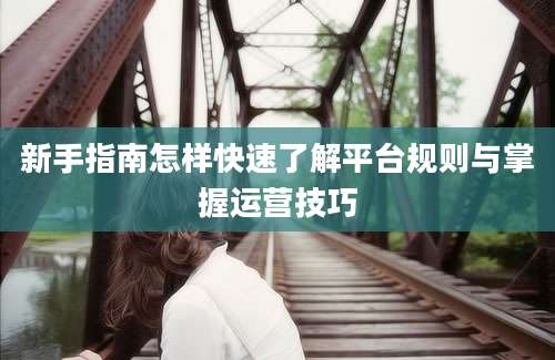 新手指南怎样快速了解平台规则与掌握运营技巧