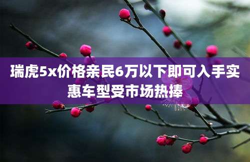 瑞虎5x价格亲民6万以下即可入手实惠车型受市场热捧