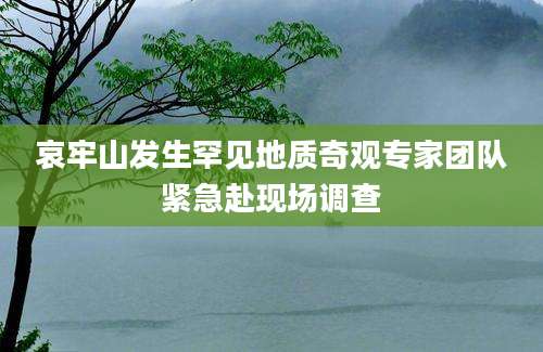 哀牢山发生罕见地质奇观专家团队紧急赴现场调查